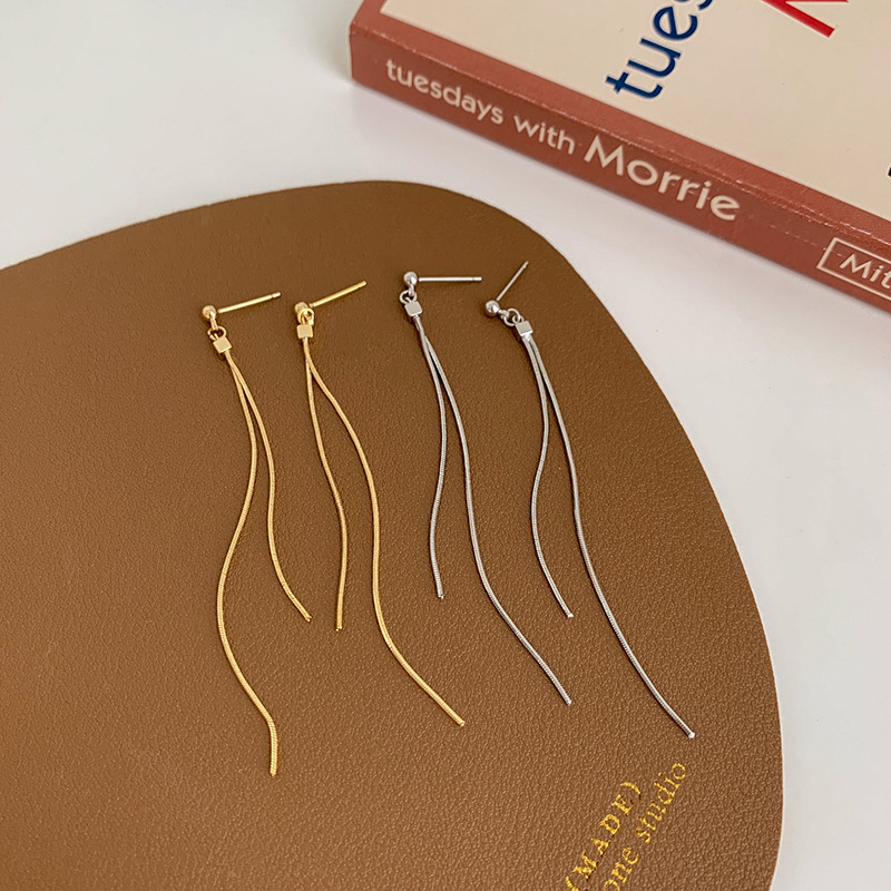 Aretes largos de bordas femeninas famosas líneas frías de aretes de agujas de plata de alta calidad 2025 nuevos aretes de moda image 2