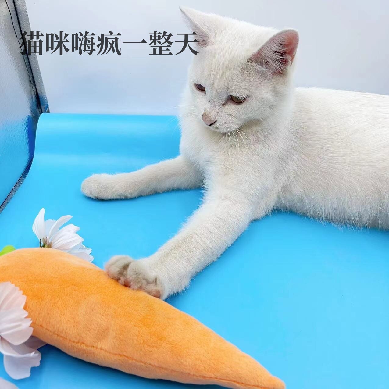 고양이 장난감 개박하 봉제 장난감 20CM 당근 큰 고양이 긁힘 방지 물린 제조 업체 도매