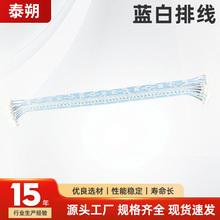 蓝白排线端子线定制双头连接器线束XH ZH电子设备内部连接线线束