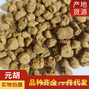 Ԫ���Ӻ�����ș�����lԪ����Ԫ��ƬҎ���Rȫ�F؛��������ă�