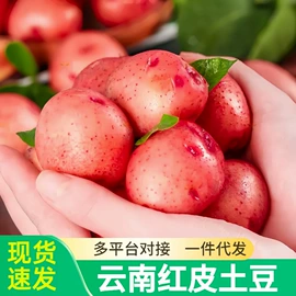 块茎类;其他水果;桃子
