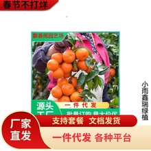 ������ľ�҃����ԾGֲ��������^�p �����辰 �̽��辰 ���Ә���