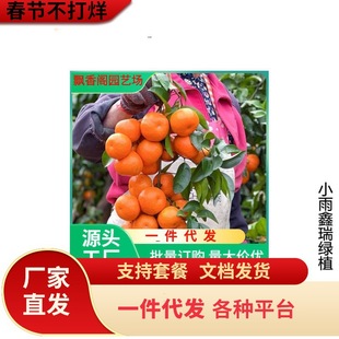 ������ľ�҃����ԾGֲ��������^�p �����辰 �̽��辰 ���Ә���