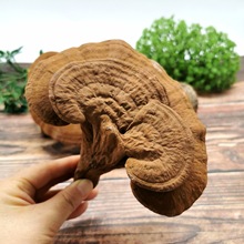 Lɽ`֥۳`֥500bˮݾخașBașҰ