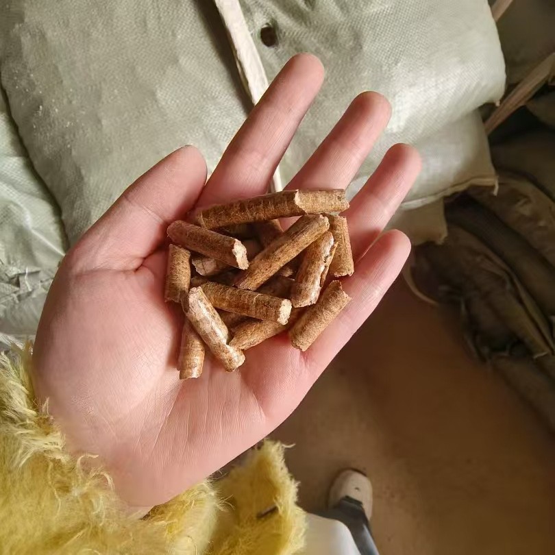 2025-03-27 16:00:48.jpg