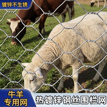 镀锌铁丝网围栏护栏网养殖圈牛羊猪防护网拧花网丝网隔离网六角网