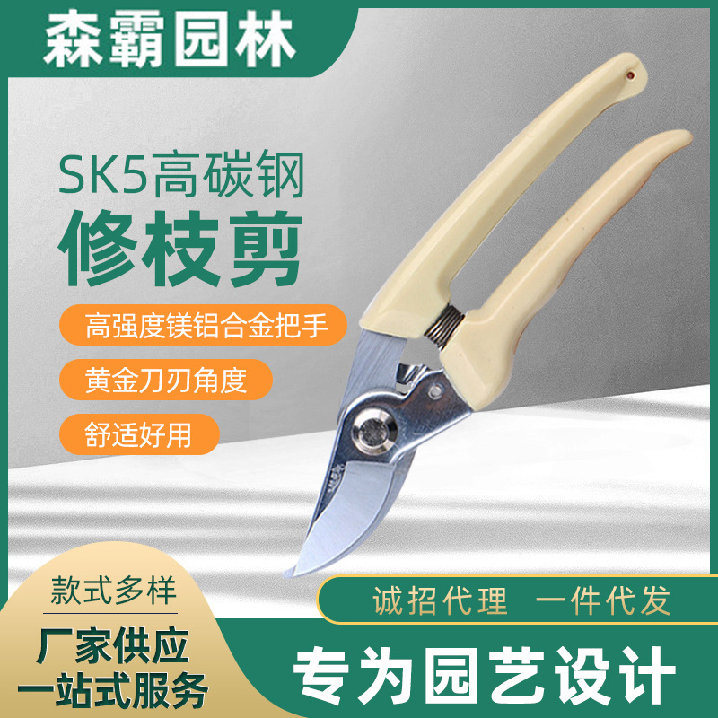 不锈钢粗枝多功能园艺剪刀 树枝果枝花枝修枝剪 园林盆景修剪工具