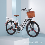 飞鸽跨境锂电池电动车男女通用新国标可上牌电动自行车外贸锂电车