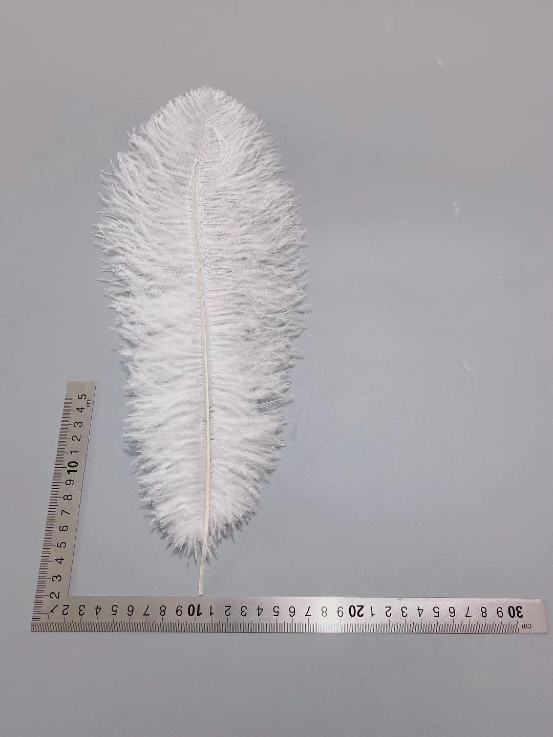 d5eccd47f7cdd7af9b0cc1274b1118