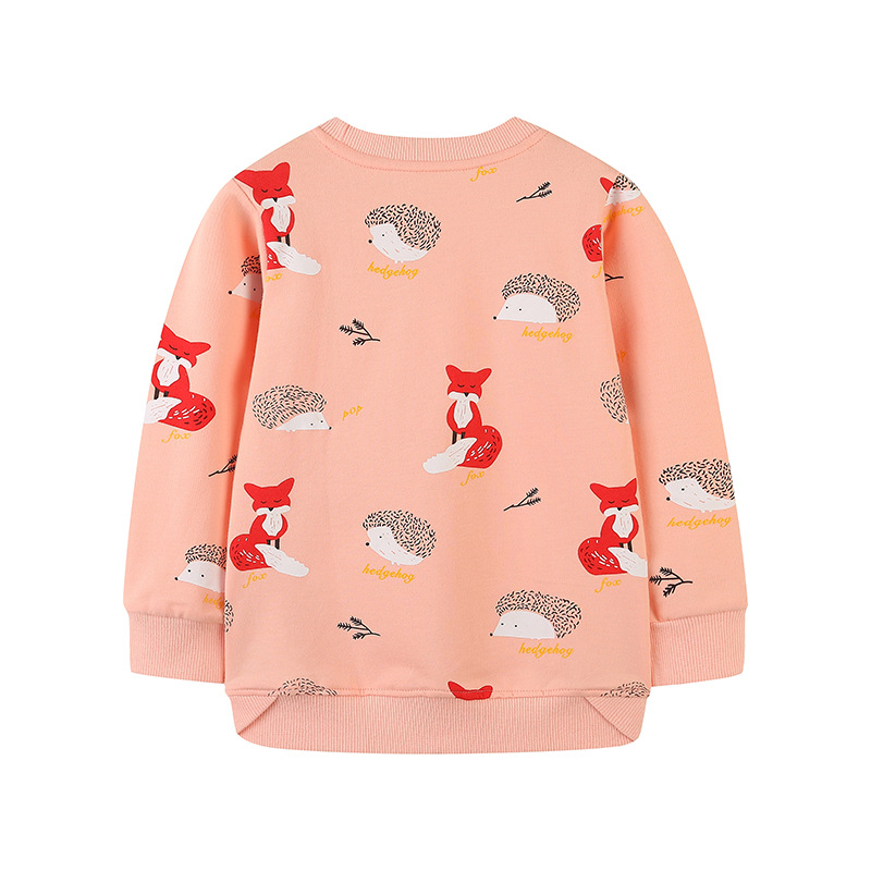 Sudadera niño 2024 otoño estilo europeo estampado manga larga​