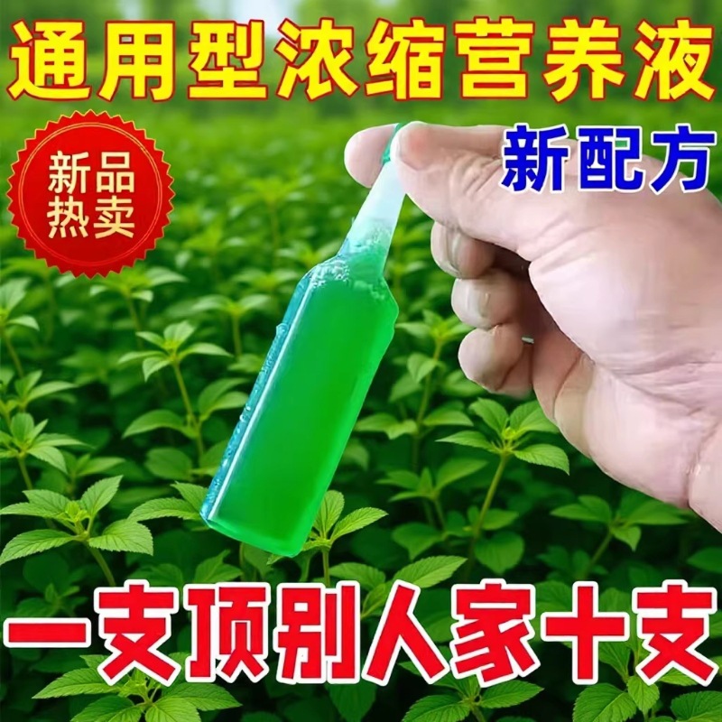 植物营养液通用型家用盆栽发财树富贵竹绿萝水培花卉绿植养花肥料