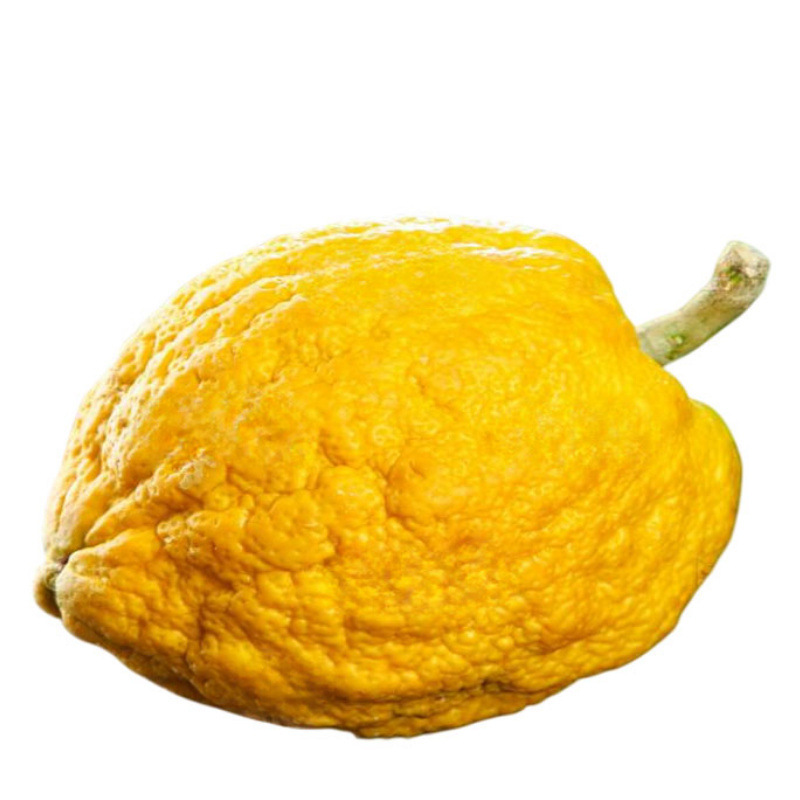 云南水果香橼新鲜水果甜供摆件闻香摘天然香薰观赏摆件照一件代发