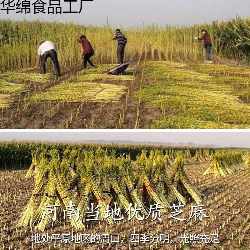 小挽きごま油 河南名物白黒ごま油 農家自家製石挽きごま油|undefined