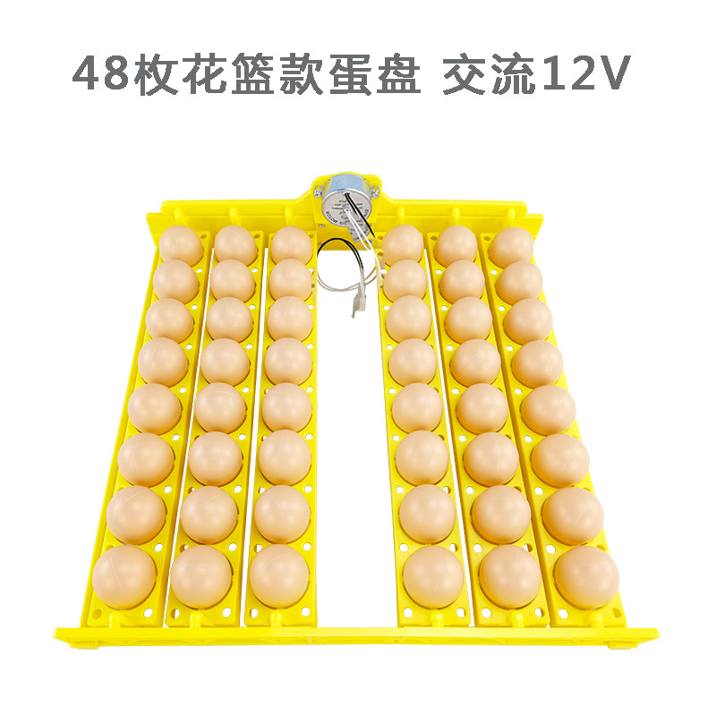 48 Placa de huevo de codorniz de pato de pollo huevo automático torneado pequeño hogar mini incubadora Placa de huevo con motor suministro transfronterizo