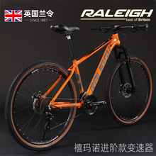 �m�����29��ɽ��܇�X�Ͻ�܇��30���͵�ɽ��܇������Ů����܇