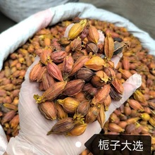 �F؛���l��؛��ș�ėd�� �d�ӹ� ɽ�d�� �t�d��500���������]