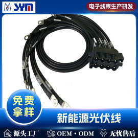 源头工厂定制新能源线束光伏防水储能耐高压锂电池连接线铜线导线