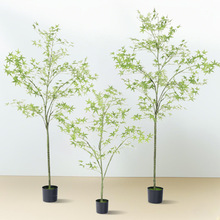 ����������ԾG�������ϼ٘��辰�҃ȾƵ�߶˴�����ؔ[���Gֲ��