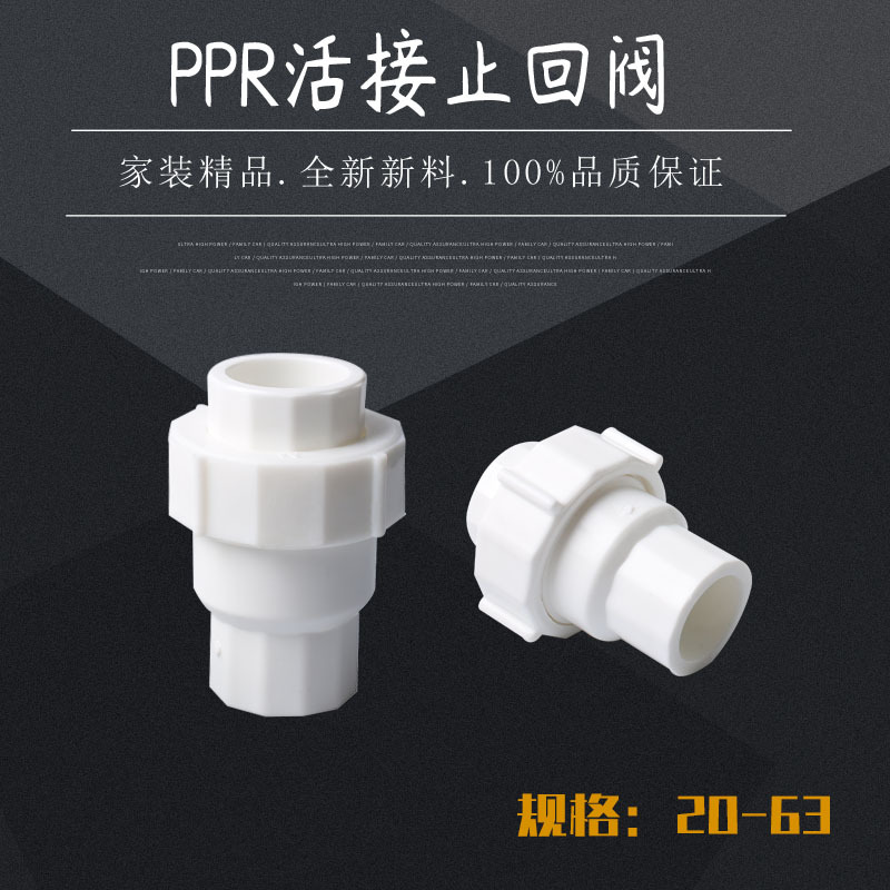 PPR20 25 32 40 50 63热熔止回阀防倒流活接逆止阀止水阀水管配件