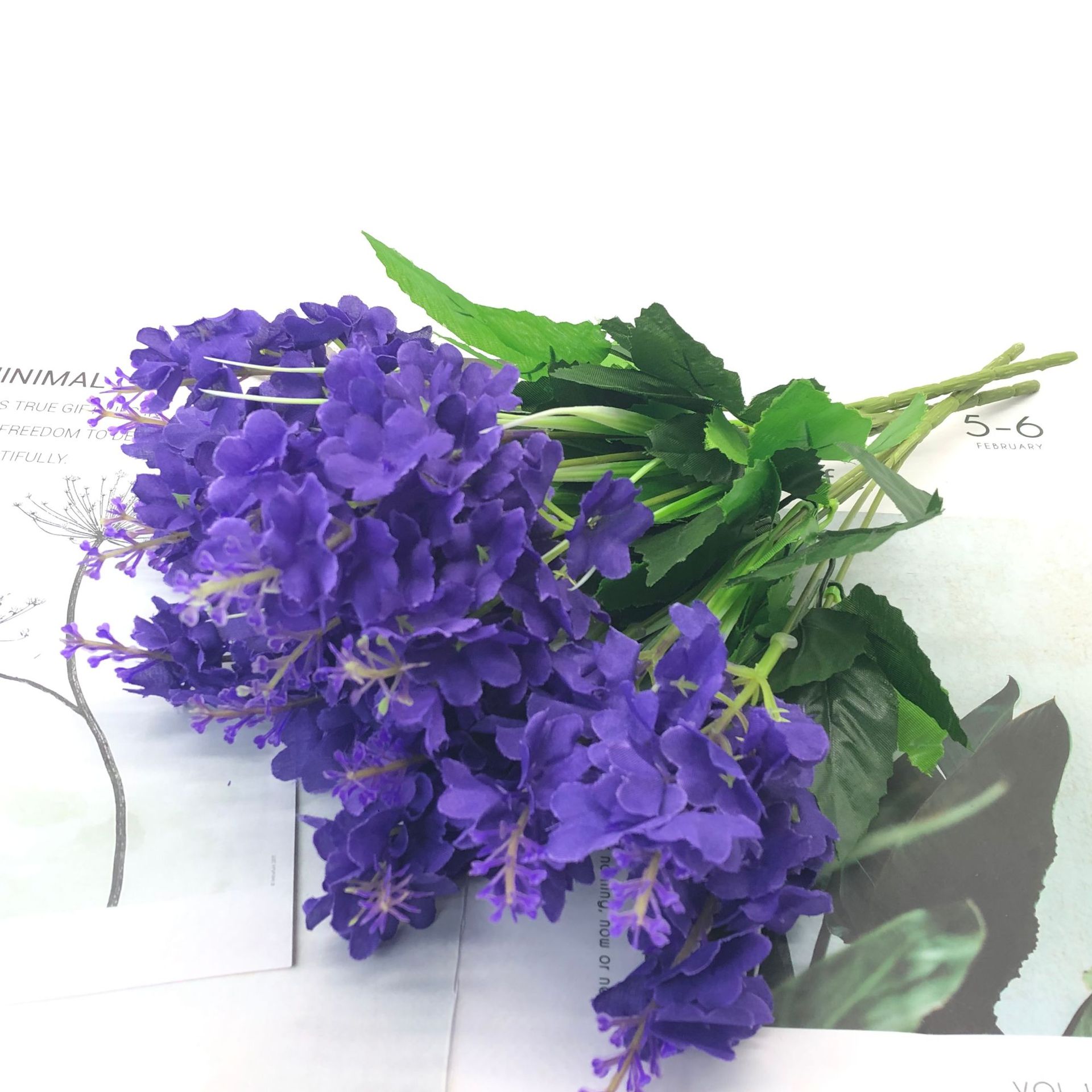 a35ba1f5adb641a9d297e20bf5ae50