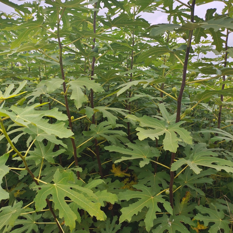 微信图片_20250922184131