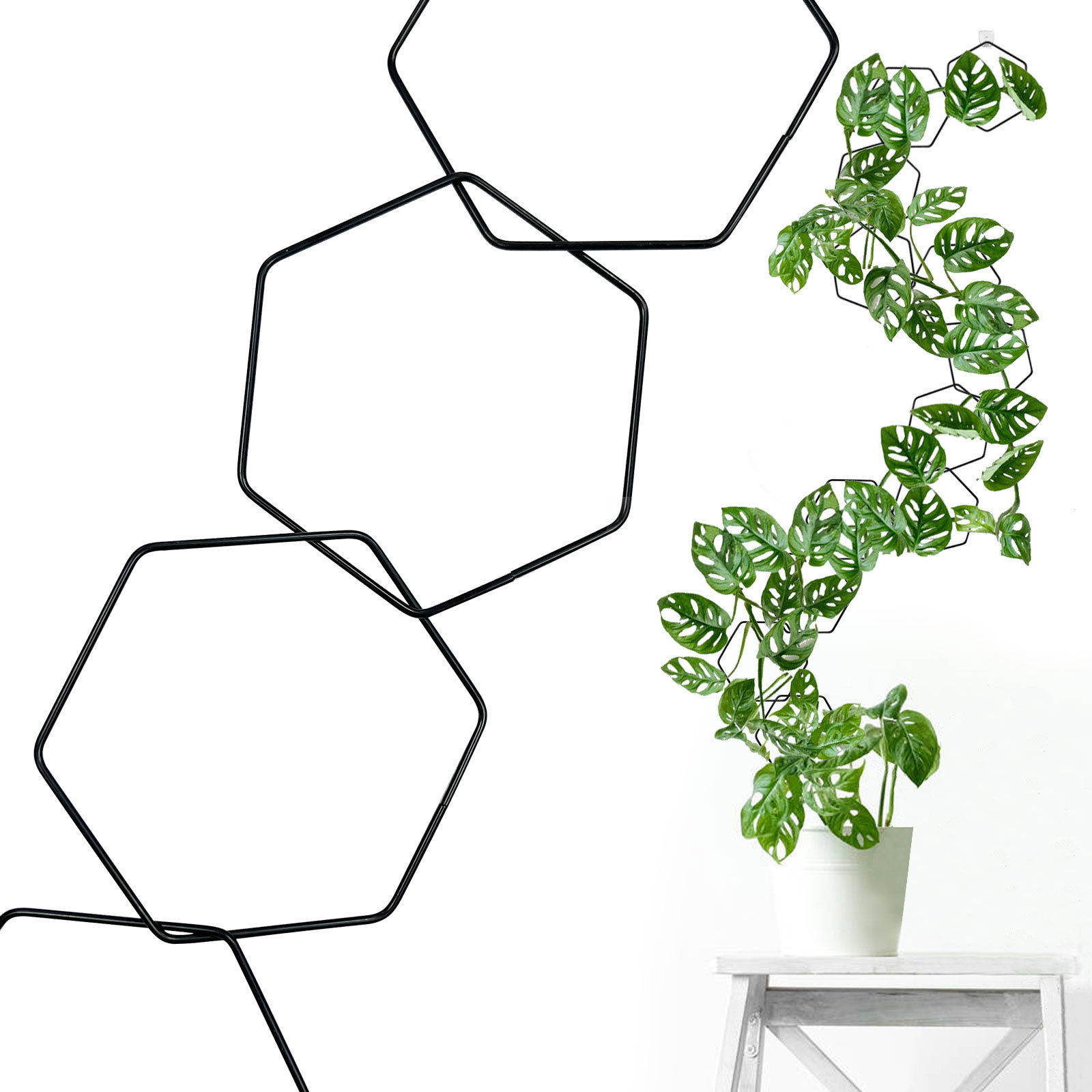 Plantas transfronterizas de escalada de caña de plantas de soporte de flores de hierro hexagonal creativo de montaña de tortuga de hierro de hierro de hierro