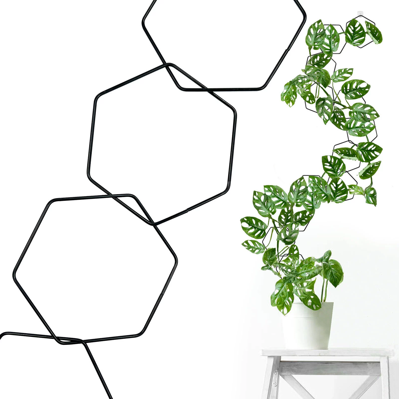 Трансграничные растения, восхождение на лозу, растения, цветочные кронштейны, креативные шестиугольные железные кронштейны, горные черепахи, клематисы, скалолазные стойки