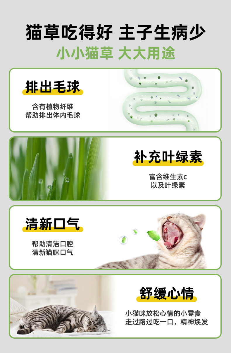 新猫草详情_05.jpg