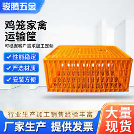 鸡笼家禽家用大型加厚塑料机械养殖鸡鸭鹅运输筐养鸡出口专供