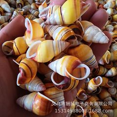 奇思両生類カタツムリ 天然貝殻 カタツムリの交換用シェル カタツムリの飼育用シェル 魚タンク フォトフレーム コレクション装飾メーカー