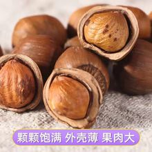 长白山特产林下毛榛子180克大榛子 厂家批发原味东北开口大榛子