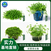 �ձ����������ţë����ˮ���~��ˮ�����쾰��ˮ�ݻ��wǰ����ȫ��