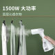 Chigo Hand-held Clothes Ironing Machine Steam Electric Iron Household Small Portable Clothes Ironing Machine for Dormitory