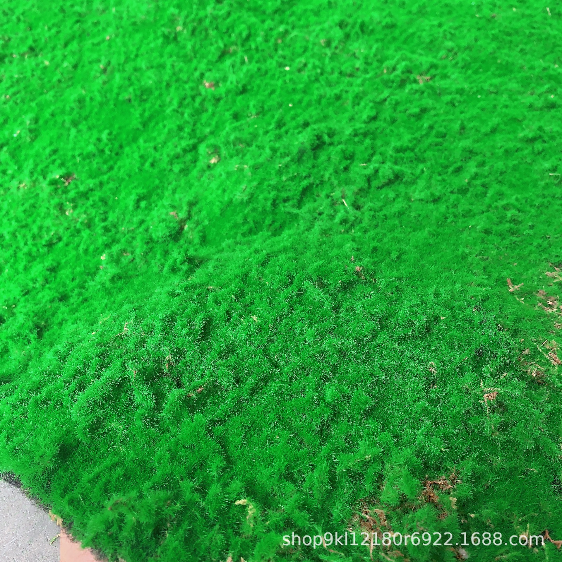 草绿色立体草坪