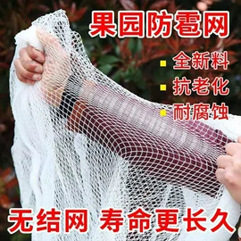 盖土网;其他安全网;其他灾害防护