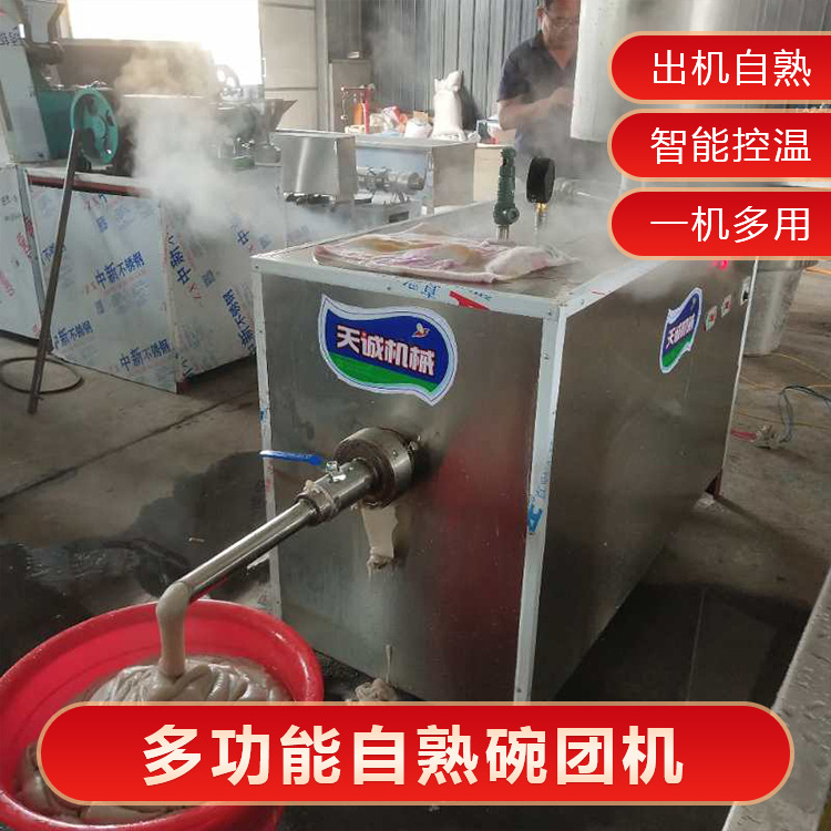 天诚牌自熟荞麦碗团机 陕西玉米搅团机生产视频