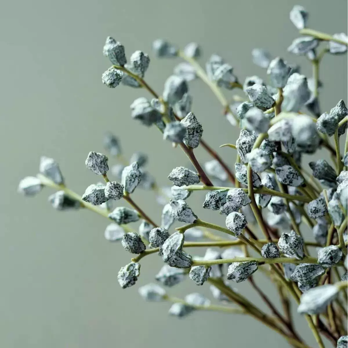 云南干花鲜花尤加利新鲜真花基地果干插花永生客厅花束摆设直发