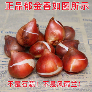 ˮ��������N�������������������㻨���ͺ������_�����B��