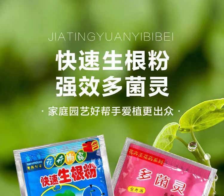 e037c363-cb01-4f8c-8657-1cacb30d5905.jpe