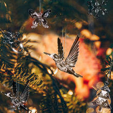 �Ƶ������ͥ����ˮ������b���컨����b�֬�w�B�b���