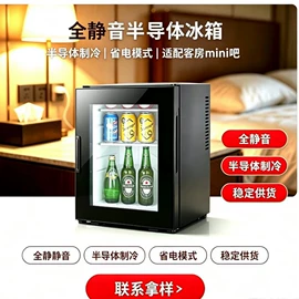 迷你冰箱;车载冰箱