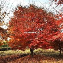 �Θ�N�� �t�Θ� С�~�Ә� С�~�t�� ���~���ηN�� ���~�Ә���]