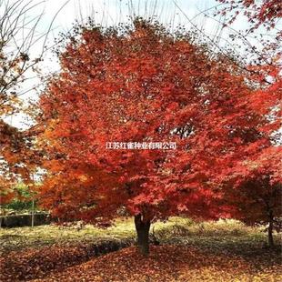 �Θ�N�� �t�Θ� С�~�Ә� С�~�t�� ���~���ηN�� ���~�Ә���]