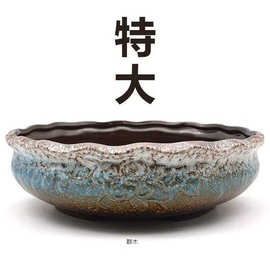 水培陶瓷花盆大口径特大浅口盆铜钱水仙中式剑山水养古法鱼缸盆