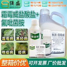 �ݶ��y����˪ù�����������S��˪ù�����������߲��rș���������l