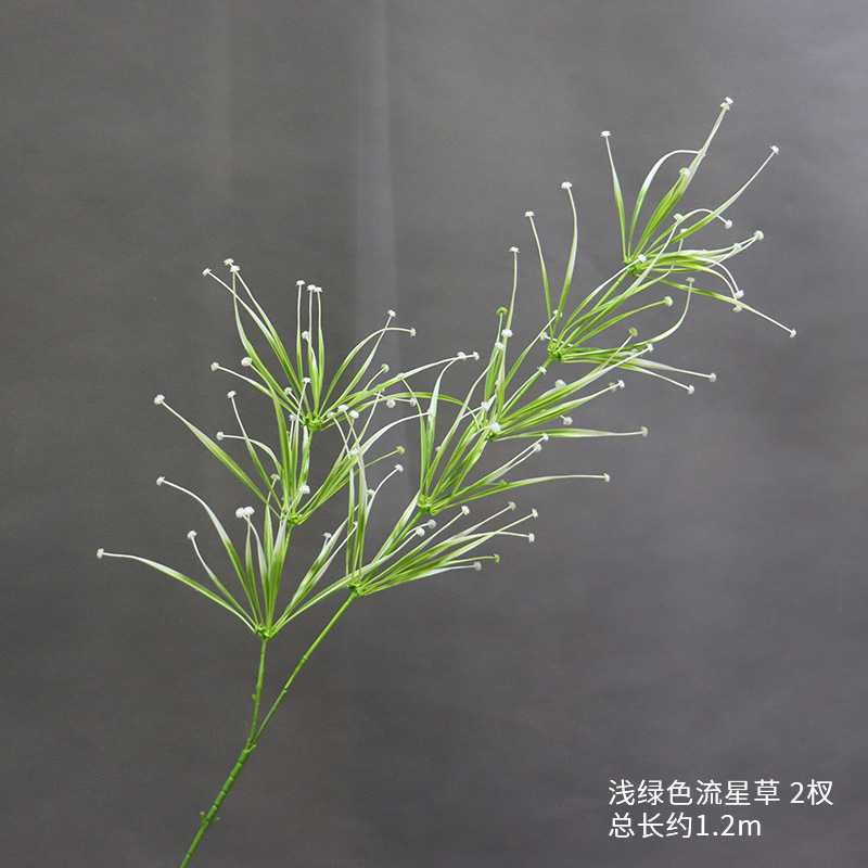 Hierba de meteorito verde claro