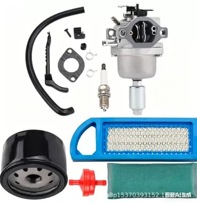 Other brake systems 791886 Carburetor Kit - 794572-carburetor