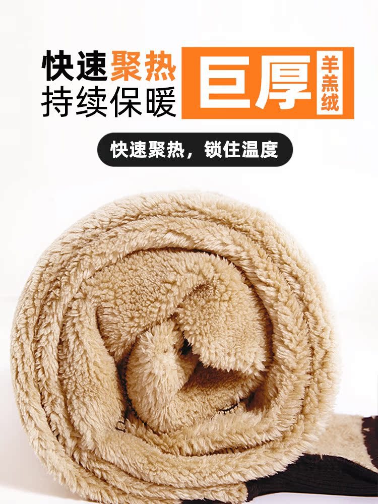 높은 허리 기모 스포츠 바지 여자 가을 및 겨울 새로운 두꺼운 운동복 캐주얼 번들 발 겨울 외부 양고기 벨벳 코튼 바지