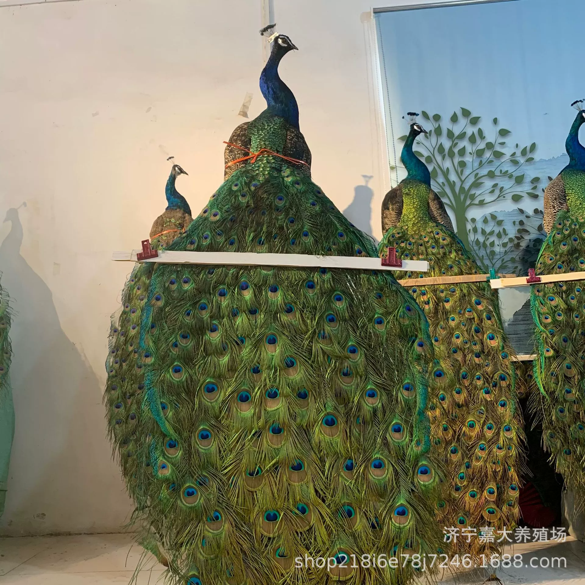 Домашний Крытый Павлин образец украшения офис вход Этаж украшения открытый экран павлин Ремесла