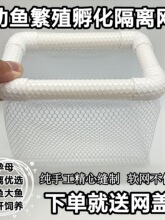 �¿����~��ֳ���x��B�W��ȸ�~��ֳ���^�p�r�~���ѷ�����ȻƯ��